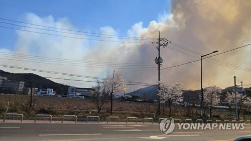 산림청, 대전 서구에도 '산불 3단계' 상향 발령