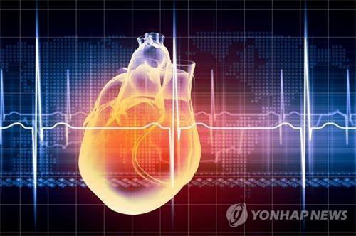 "심장의 모양으로 심혈관 질환 위험 예측 가능"