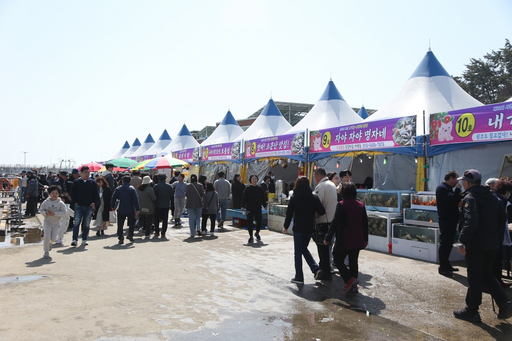 서천 동백꽃 주꾸미 축제에 24만여명 다녀가