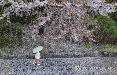 오늘 전국에 많은 비…수도권, 내일까지 20~60㎜ 더