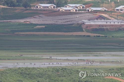 반가운 비 내리지만…북한 '속 타는' 가뭄에 동분서주