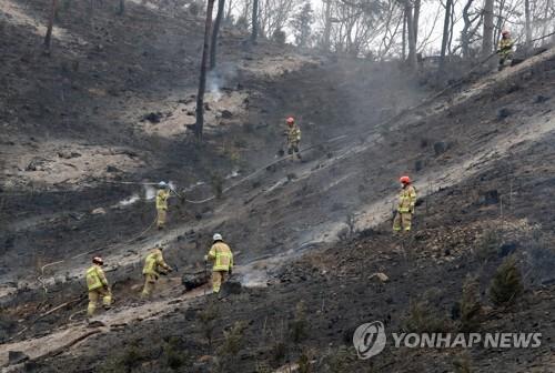 53건 산불에 3천91㏊ 피해…임도 확충·초대형 헬기 도입 필요