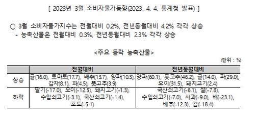 무, 양파 등 주요 채소류 가격 강세…농식품부 "점진적 안정"