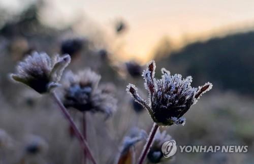 설악산 영하 7.9도…강원 산간·내륙 꽃샘추위에 '꽁꽁'