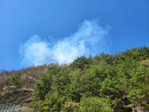 강원 평창 미탄면서 산불…1시간 30분 만에 진화(종합)