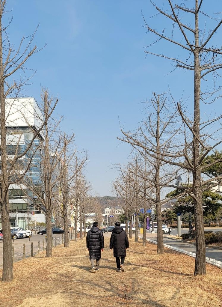 안산시청 앞 도로변 녹지공간에 '가로 숲길' 조성