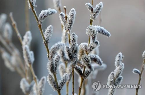 철원 등 강원 3곳 한파주의보…양양 등 6곳 건조경보 유지