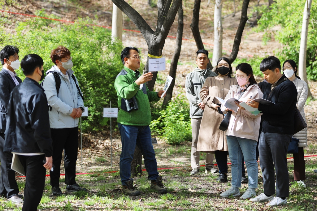 산림청 "도시숲·가로수 과학적 관리…지표 개발·평가"