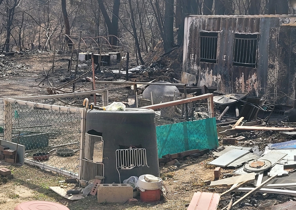 [강릉산불] "줄에 꽁꽁 묶인 반려견들, 소방관들이 풀어줘서 살았다"