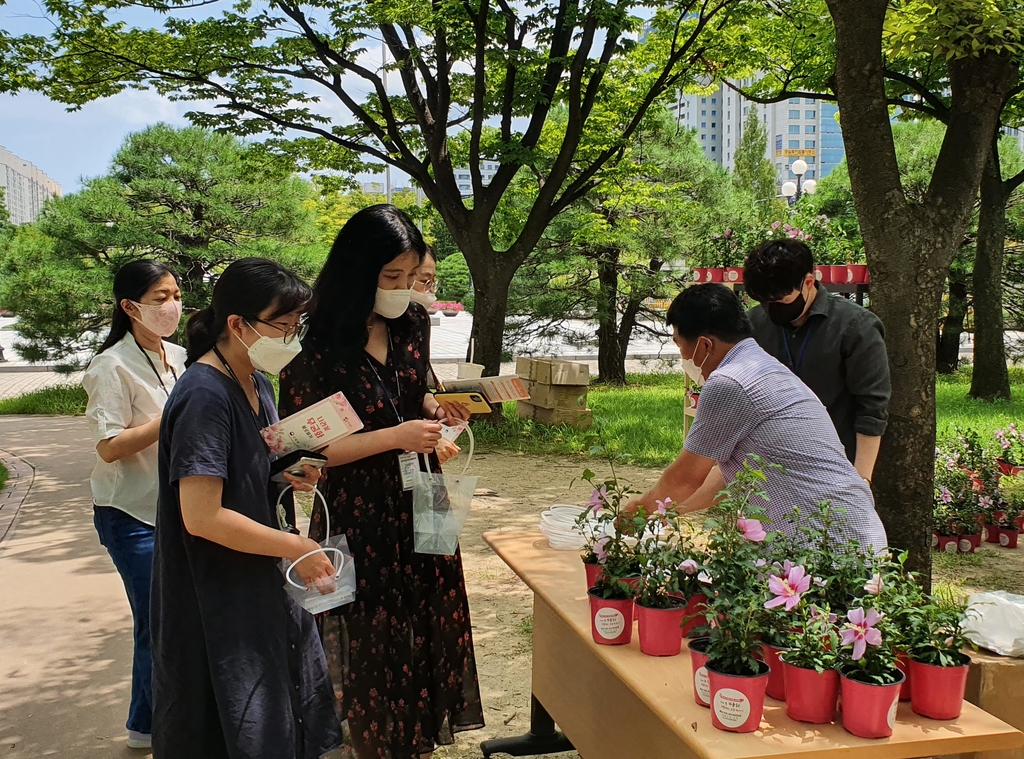 산림청, 대전 월드컵경기장서 '내나무 갖기 캠페인'