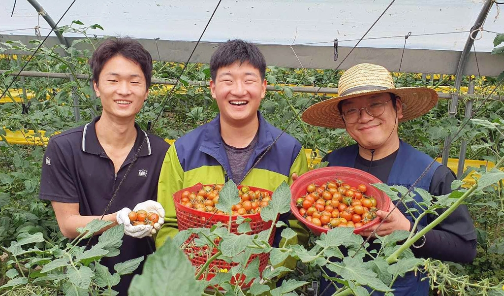 쿠팡, 판로 끊긴 토마토 농가 돕는다…재고 400t 매입