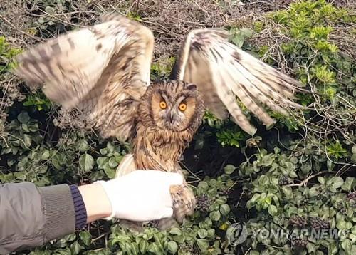 충남 구조센터에 유기 야생동물 보호소 건립…최대 30마리 수용