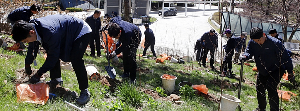 강원랜드, 리조트에 자작나무 500그루 심었다