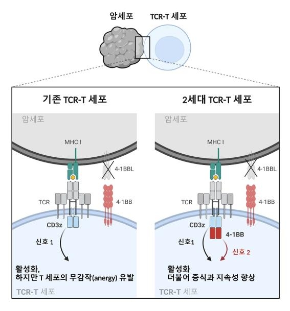 KAIST, 말기 고형암 표적 2세대 면역치료제 개발