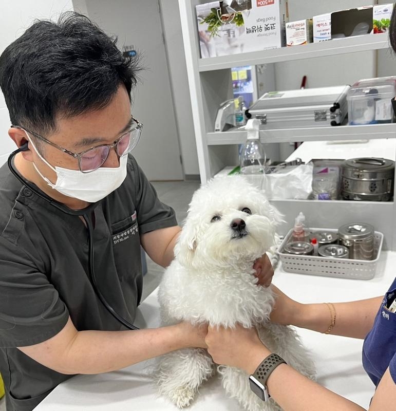 유기동물 입양가정에 사랑을…경남 전국 첫 '공감동물병원' 시행