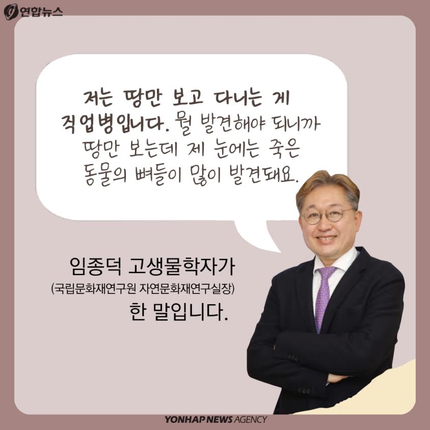 [카드뉴스] 공룡 여행 제대로 하려면 꼭 들러야 할 '이곳'