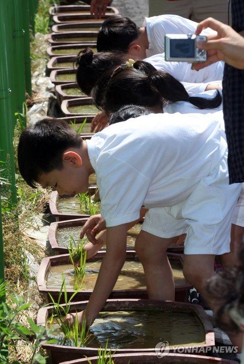 "농업 가치 배운다"…익산 초등학교 12곳 '학교 텃밭' 운영