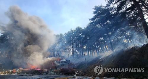 강원도, 인공지능 기반 산불 조기 감지·확산 예방 시스템 구축