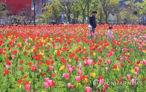 충북 흐리다 오후부터 맑아져…낮 최고 17도