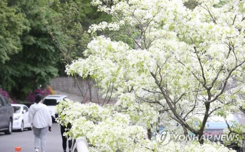 전북 아침 쌀쌀, 오후 포근…미세먼지 '보통'