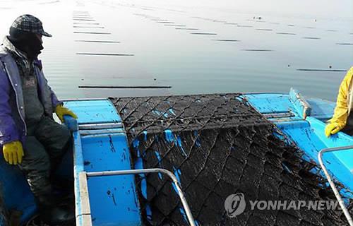 '김 유통·가공' 서천 수산식품산업거점단지 준공