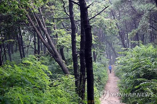 숲과 레포츠 결합 천안 '태조산 산림 레포츠단지' 준공