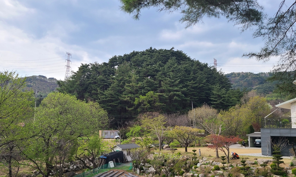 [굽이굽이 별천지] ③ 2천년의 전설 간직한 태기산…화전민의 애환