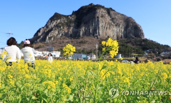 "제주도 좋지만 물가 너무 비싸"…여행만족도 제자리