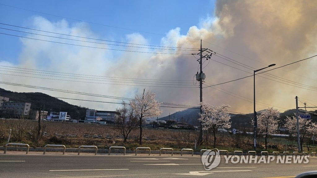 대전·당진·보령 '산불 2단계' 상향 발령