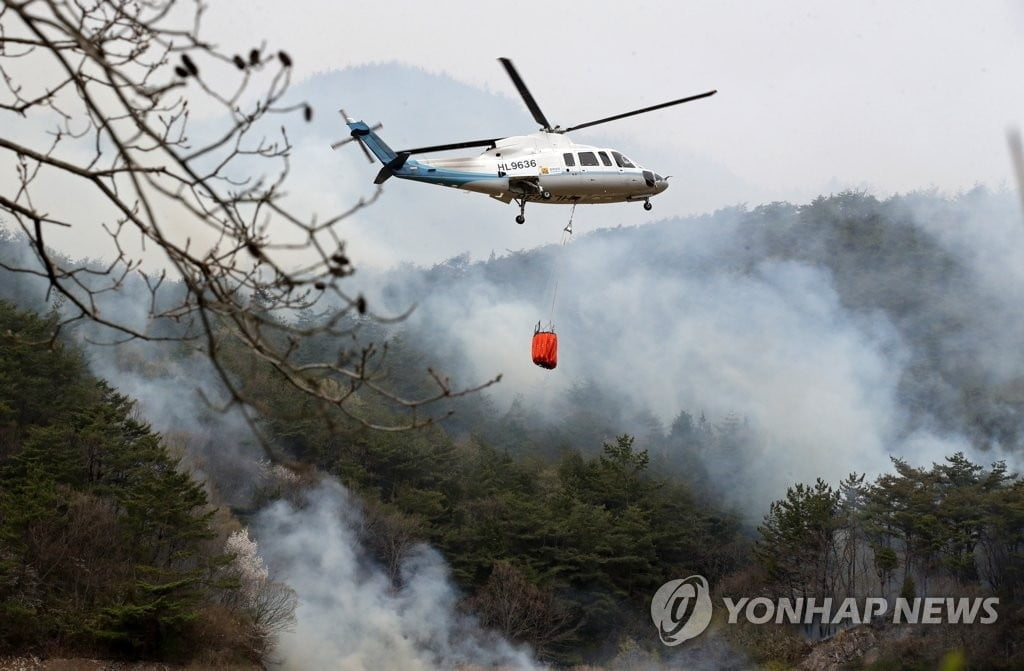 함평·순천 산불, 만 하루만에 진화...축구장 875개 불탔다