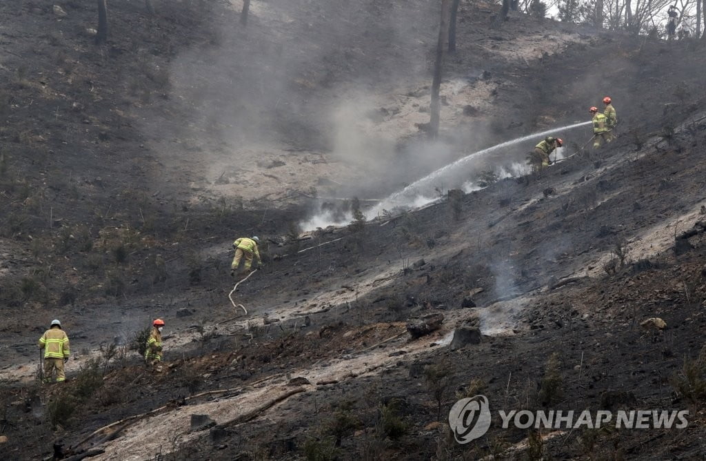 산불 피해 지역에 긴급자금·대출 만기연장 지원