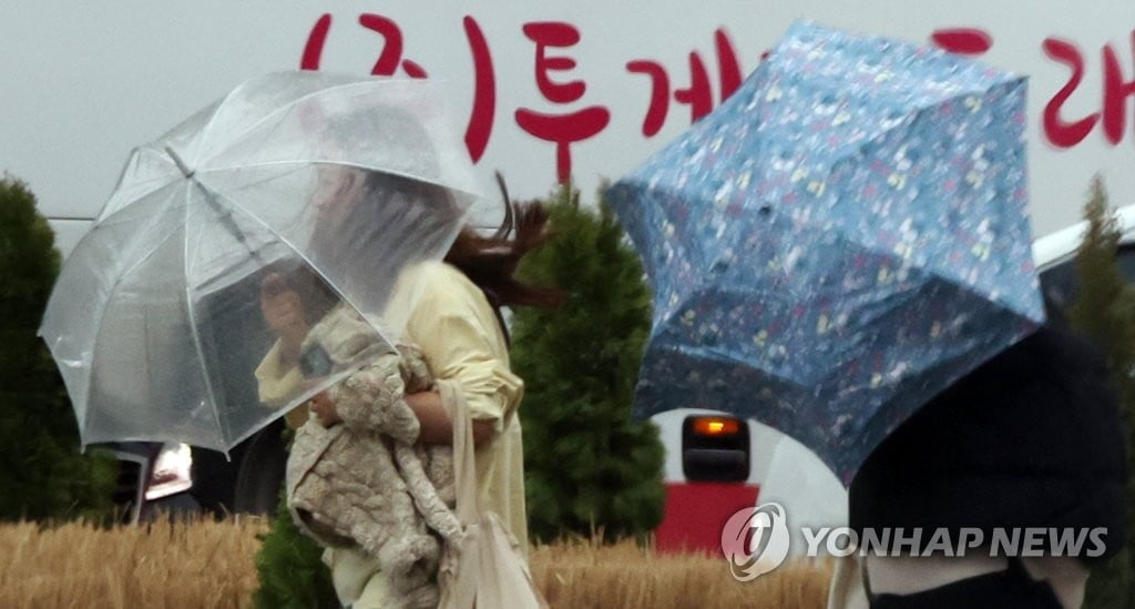 전국 덮친 강풍에 항공편 결항·지연...강원서 열차 운행 중단