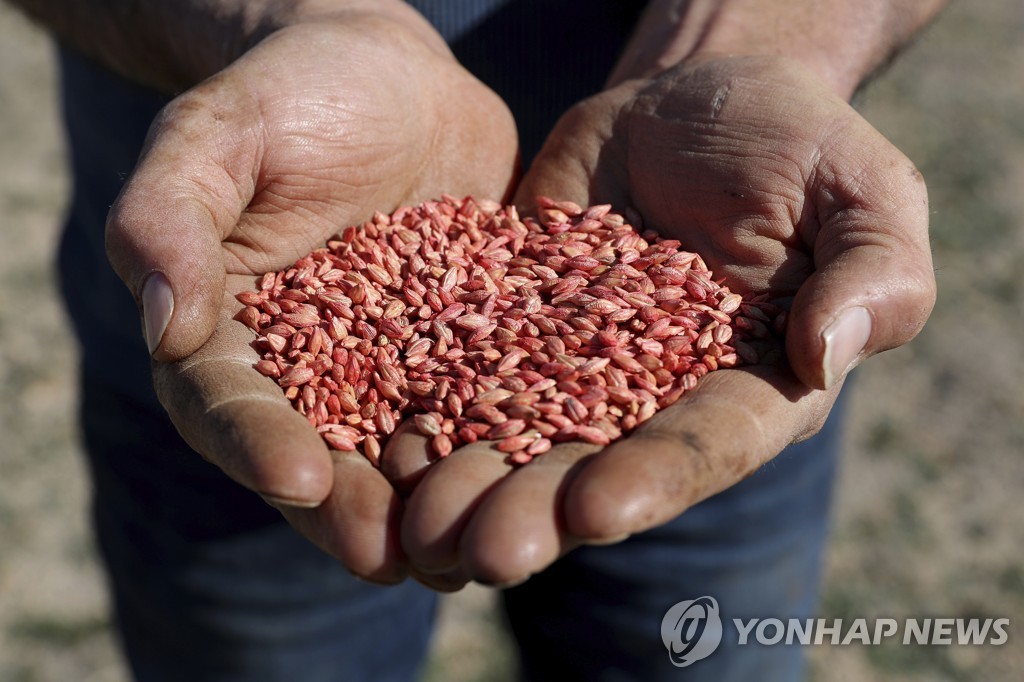 호주·중국, 보리 관세분쟁 해결하기로…WTO 절차도 중단