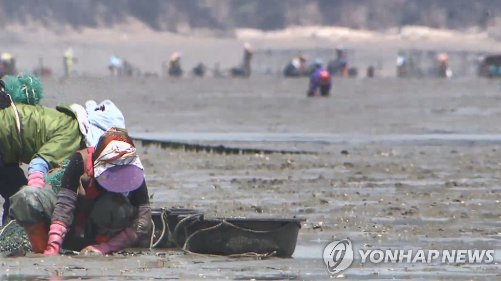 6년만에 실시된 美FDA 패류수출 위생점검…전 항목 '적합'