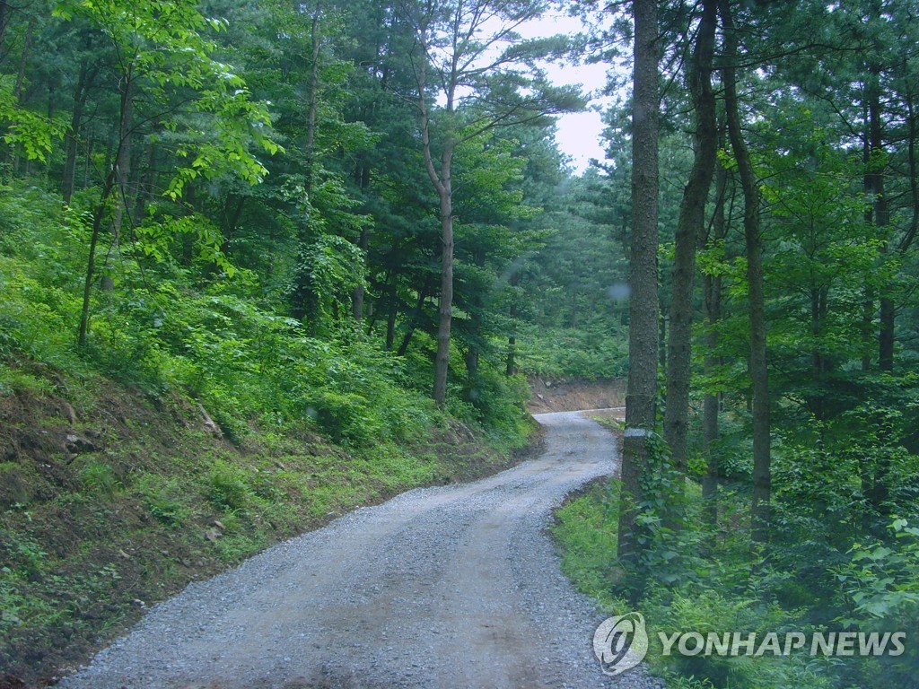 대전·충남 임도밀도 적정 기준 못 미쳐…확충 계획