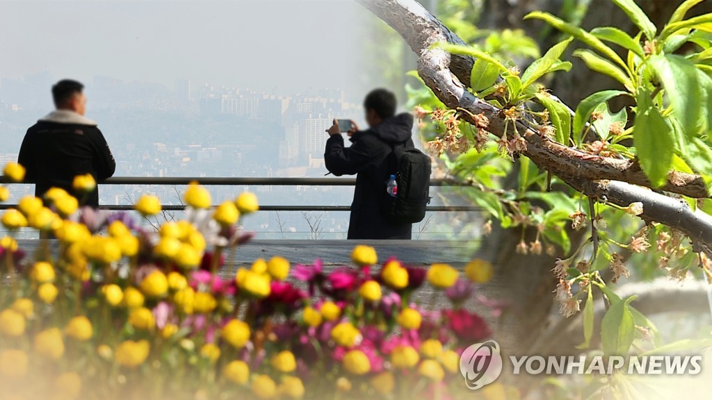 변덕스러운 봄 날씨에 과수농가 냉해·우박·해충 피해 속출