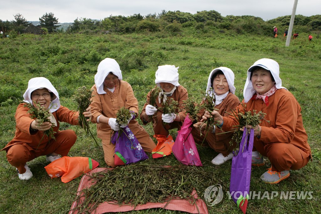 [다시! 제주문화] (58)"조상을 위한 음식"…제사의 시작과 끝 고사리