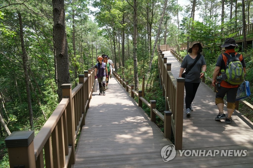 [보성 소식] 제암산 자연휴양림 유아 숲 체험 운영