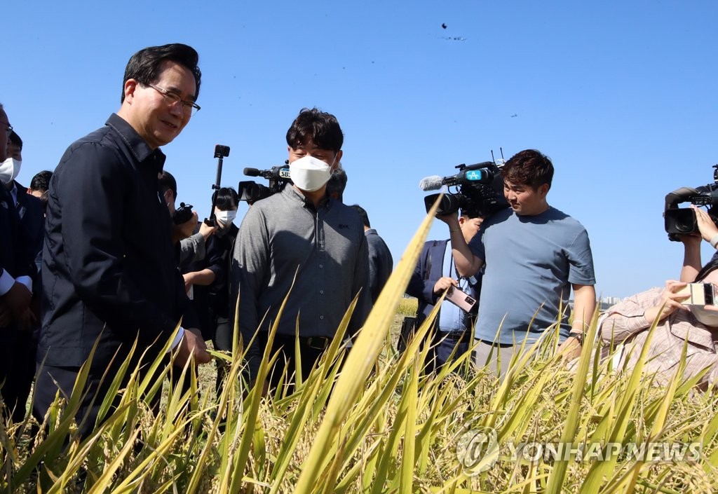 가루쌀로 라면·과자 만든다…식품업체, 제품개발 착수