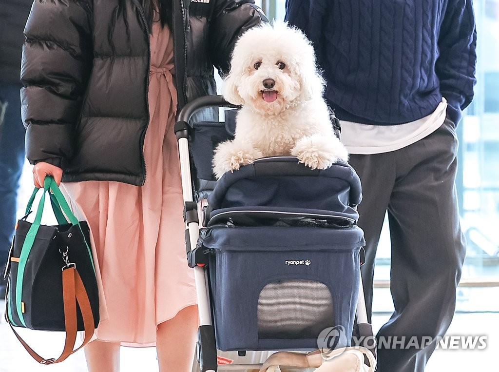 코로나19 이후 제주 여행 키워드는 '반려동물 동반' '한달 살기'