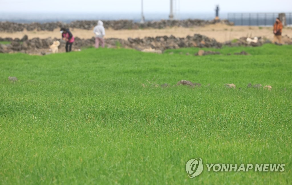 꽃샘추위 속 봄나들이 행렬…전국 축제장·명소 '북적'