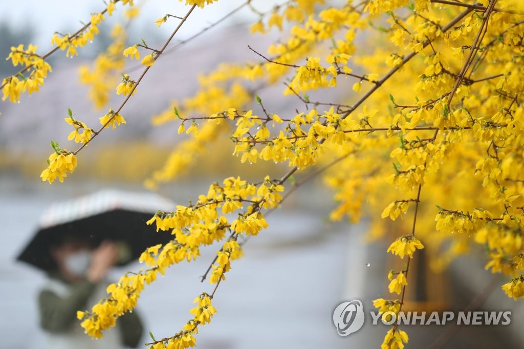 대구·경북 대체로 흐리고 가끔 비…강수량은 5mm 미만