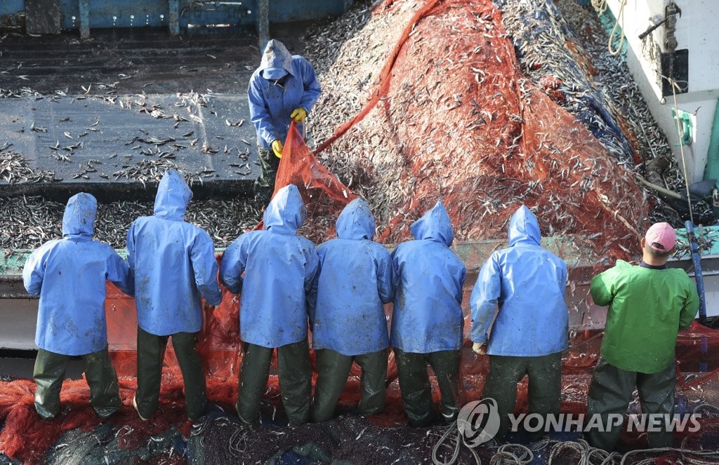 멸치로 느끼는 봄…21일부터 사흘간 기장멸치축제