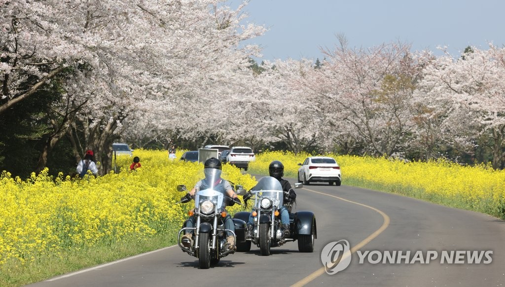 제주 맑음, 낮 최고 19∼20도…미세먼지 '좋음'