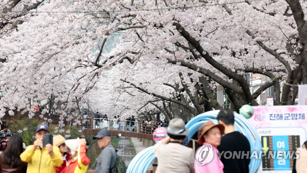 연분홍 여정 진해군항제 폐막…흥행성공, 관광객 사상 최다 추정