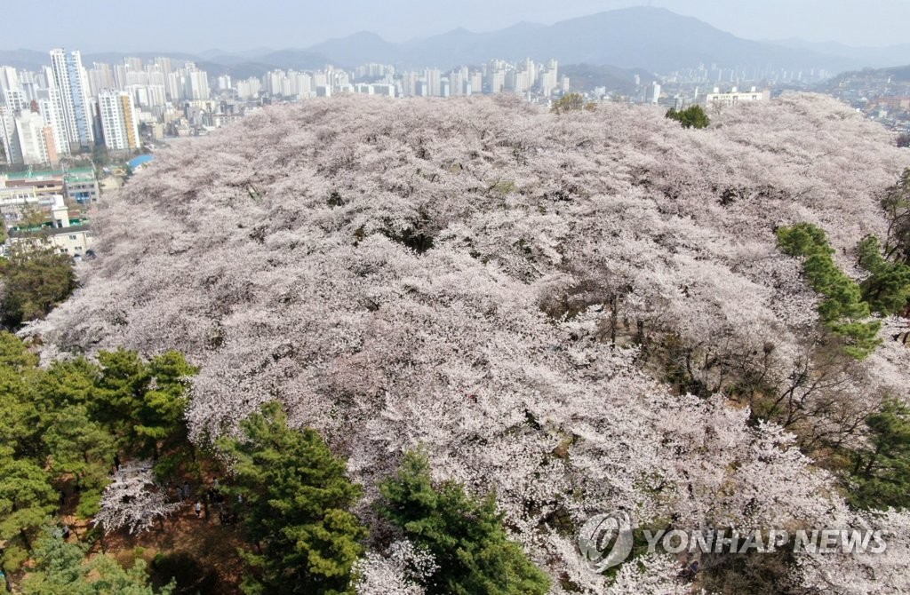 대전·세종·충남 맑고 일교차 커…낮 최고 25도