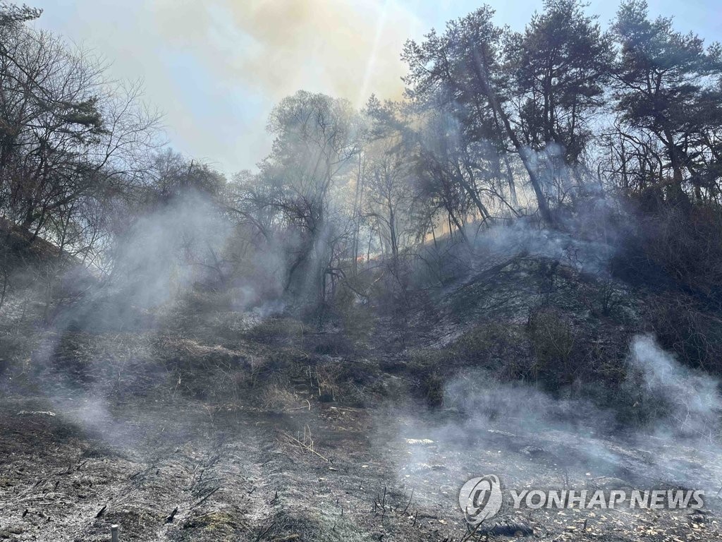 쓰레기·낙엽 태우다 산으로 확산…춘천·원주 산불 진화(종합)