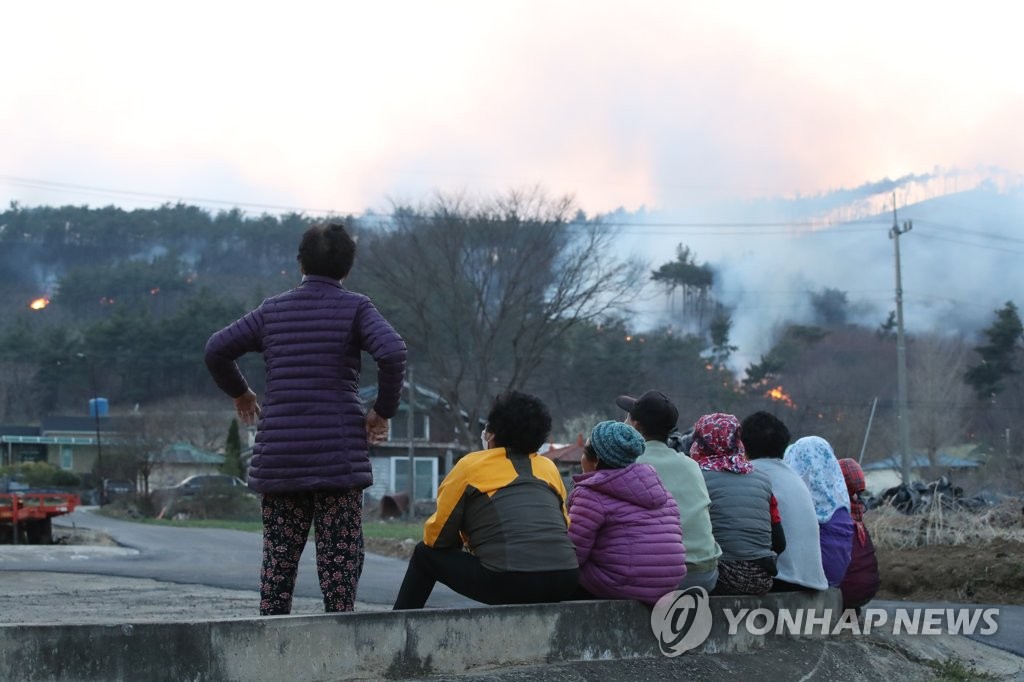 홍성·대전 등 산불 밤새 이어진다…야간 진화 작전 돌입