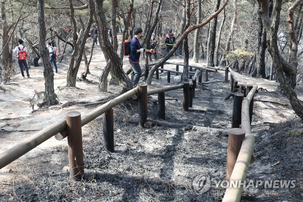 식목일 앞두고 전국 산야 20여곳 동시 산불로 '활활'