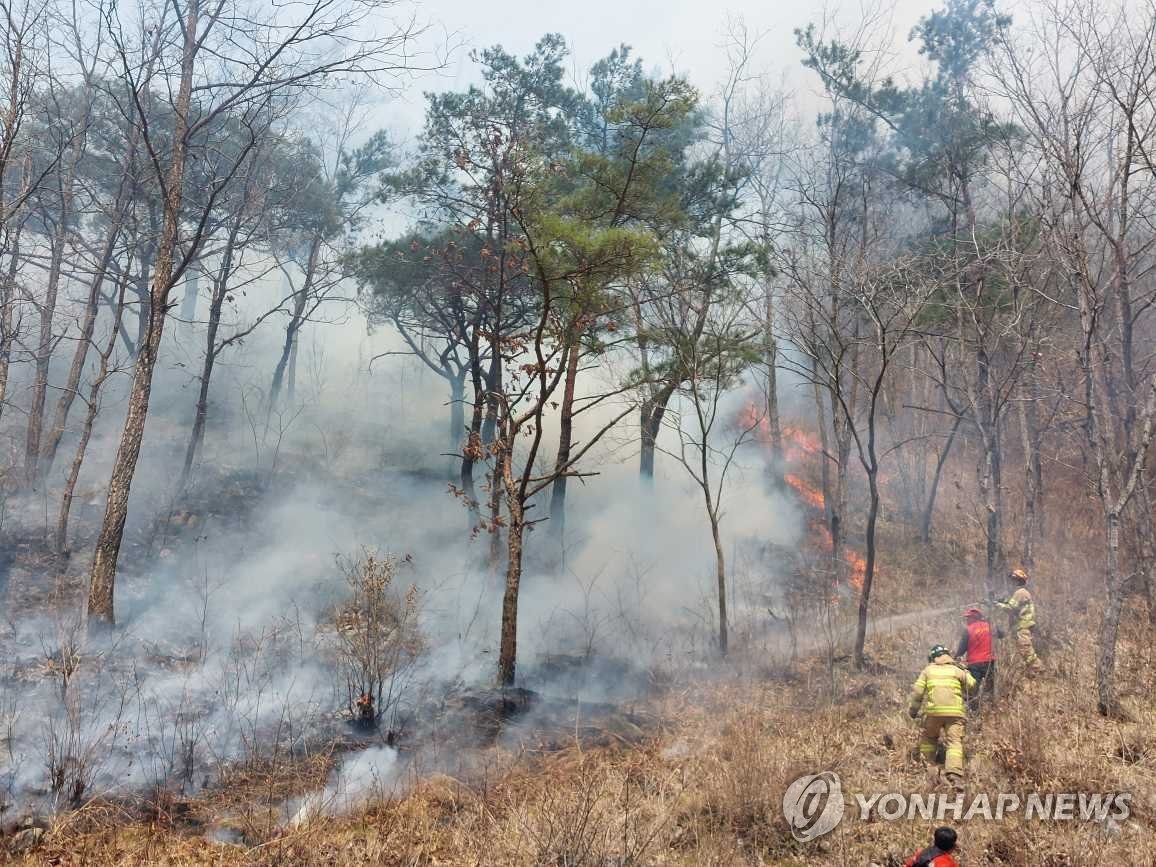 강원 영월서 산불…1시간 30여분 만에 진화(종합)